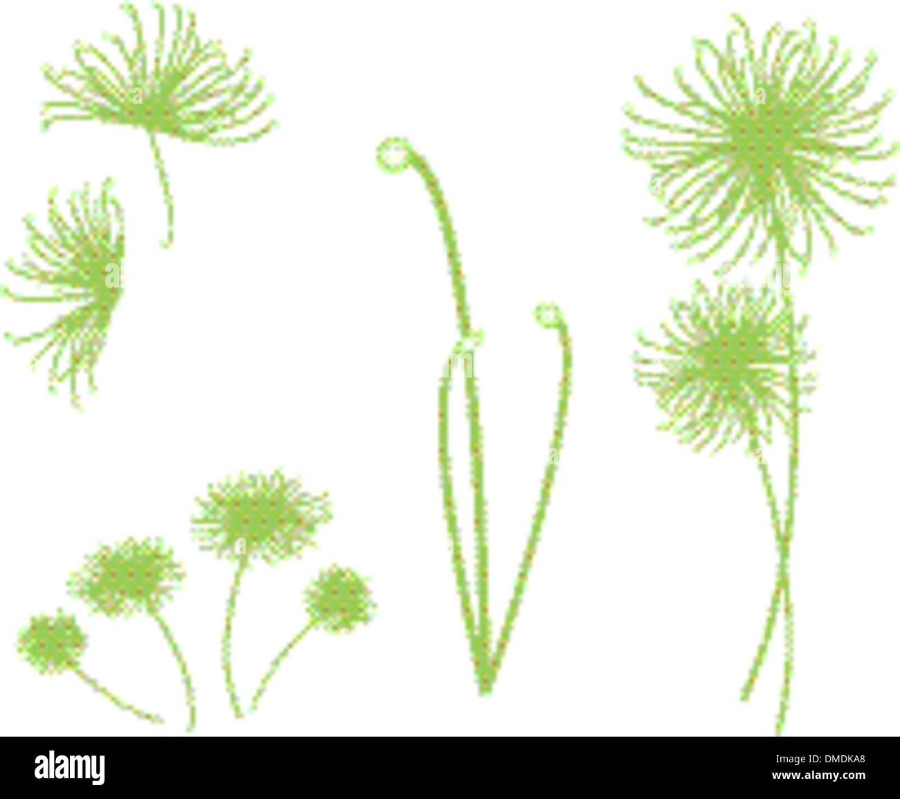 Un ensemble de Cyperus Papyrus Plante sur fond blanc Illustration de Vecteur