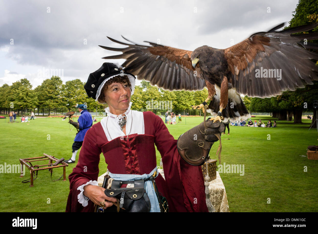 Harris's hawk à une fauconnerie avec des acteurs en costume d'époque Tudor à Hampton Court Palace, London, England, GB, au Royaume-Uni. Banque D'Images