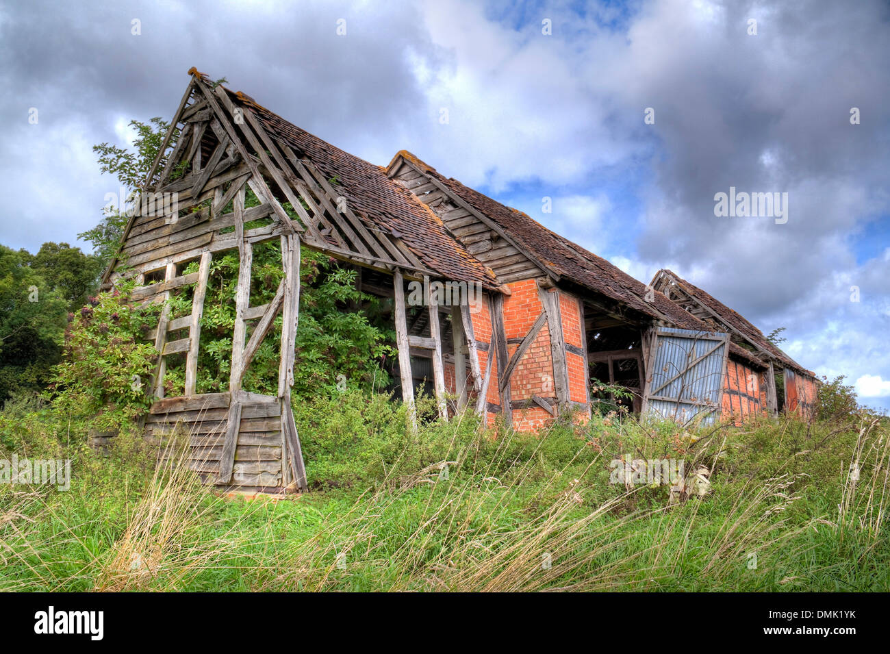 Envahi par la vieille grange, Warwickshire, en Angleterre. Banque D'Images