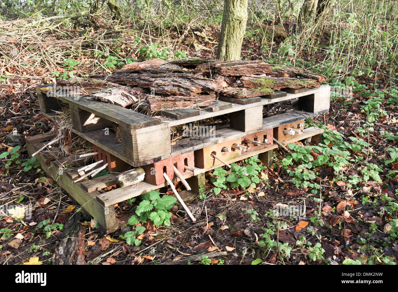 Un insectivorium ou un abri pour les petits mammifères et invertébrés faites à partir d'une vieille palette en bois Banque D'Images