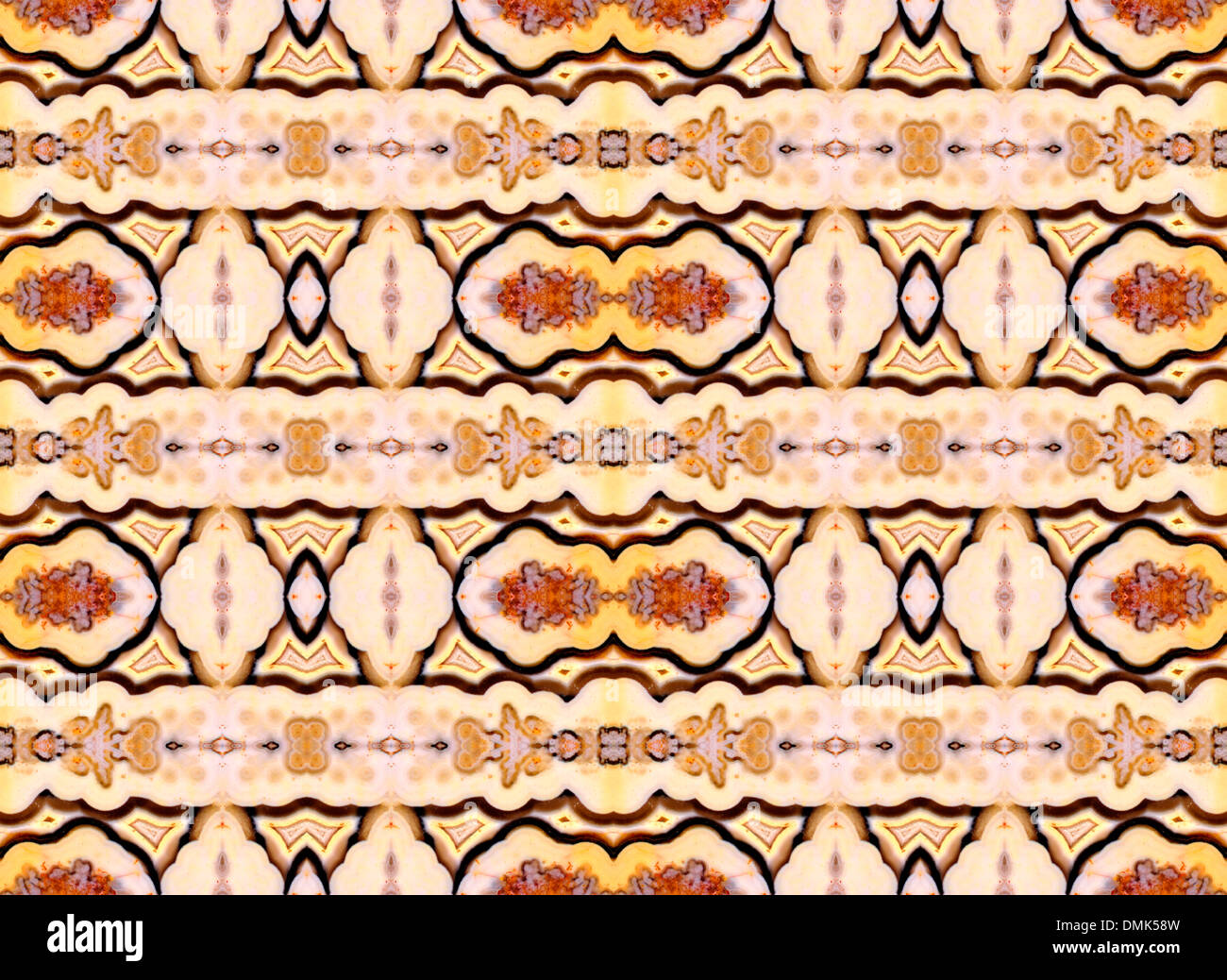 Tranche polie de Jasper (opaque, forme à grain fin de calcédoine) motif symétrique faite par la répétition de l'image Banque D'Images