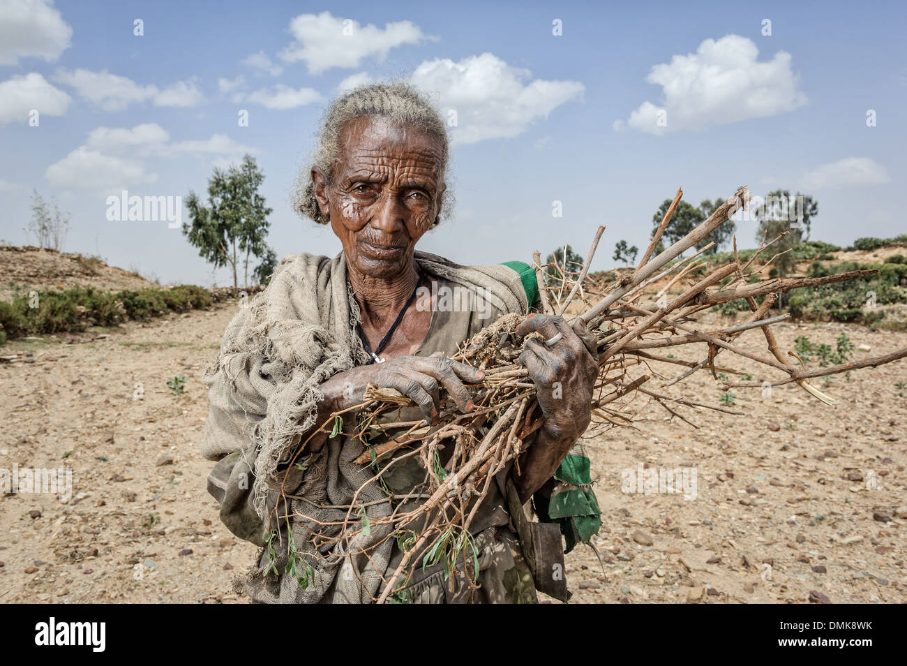 Vieille Femme avec un tas de bois de chauffage, du Tigré, en Ethiopie, l'Afrique Banque D'Images