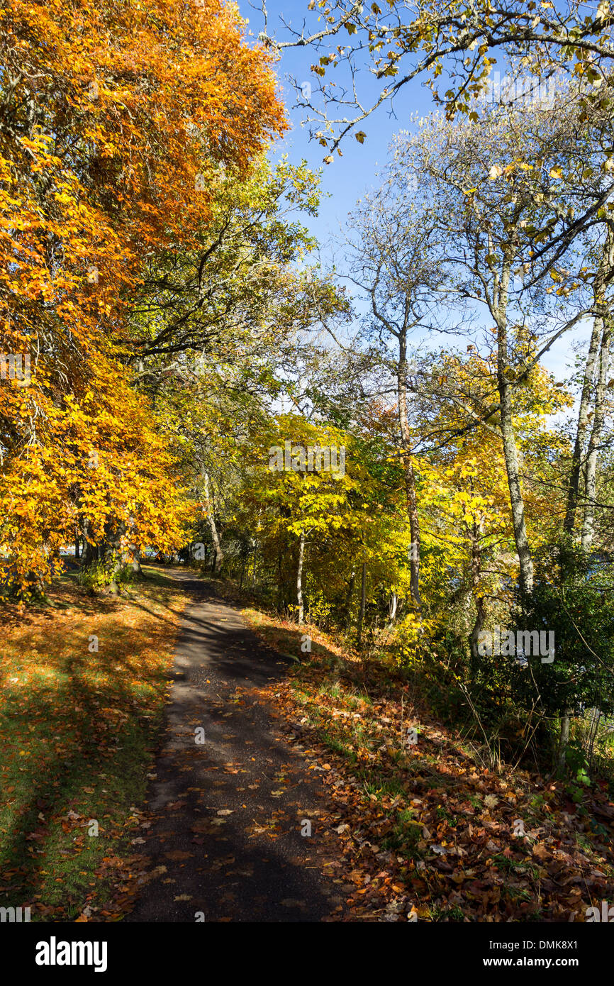 INVERNESS ECOSSE SENTIER LE LONG DE LA RIVIÈRE NESS bordée d'ARBRES D'AUTOMNE Banque D'Images