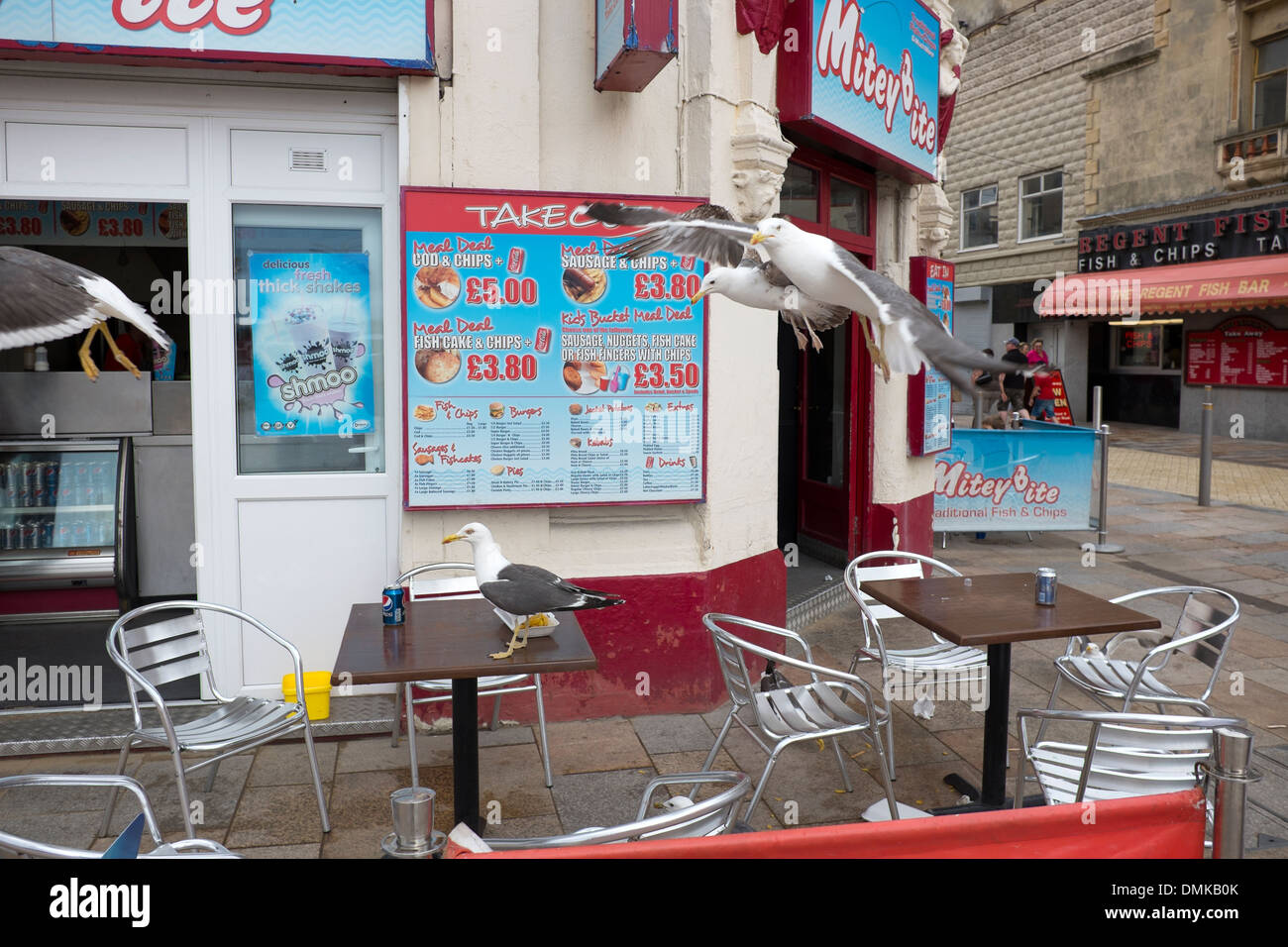 Les mouettes voler de la nourriture de table de café en plein air Banque D'Images