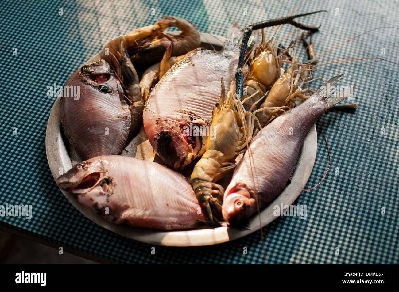 Une assiette de poisson cru. Banque D'Images