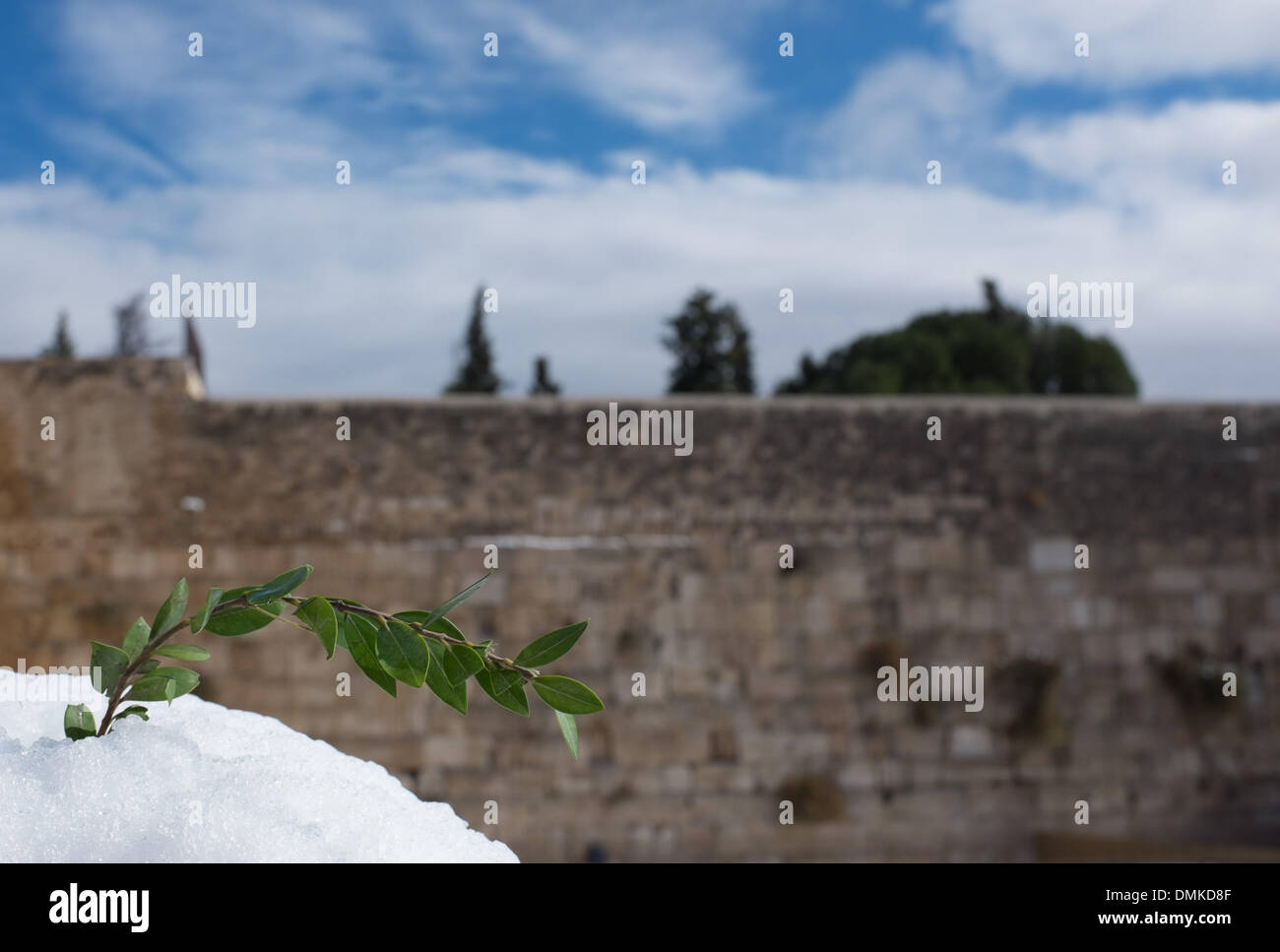 Jérusalem. 14 Décembre, 2013. Photos prises le 14 décembre 2013 montre un paysage de neige à Jérusalem. La météo neige continu ici le samedi. Quelque 35 000 foyers en Israël sont toujours privés d'électricité, les routes sont bloquées et deux personnes sont mortes à la tempête la plus lourde depuis des décennies batters Israël pour le cinquième jour, les médias locaux ont rapporté le samedi. Crédit : Li Rui/Xinhua/Alamy Live News Banque D'Images