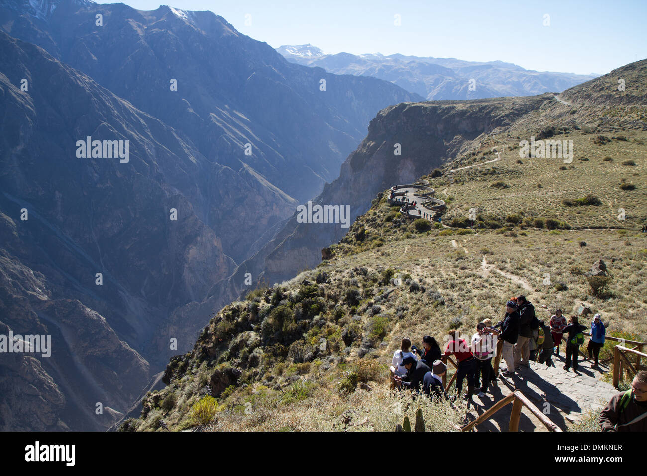 Cruz del Condor, point de vue sur le Canyon de Colca, Pérou Banque D'Images