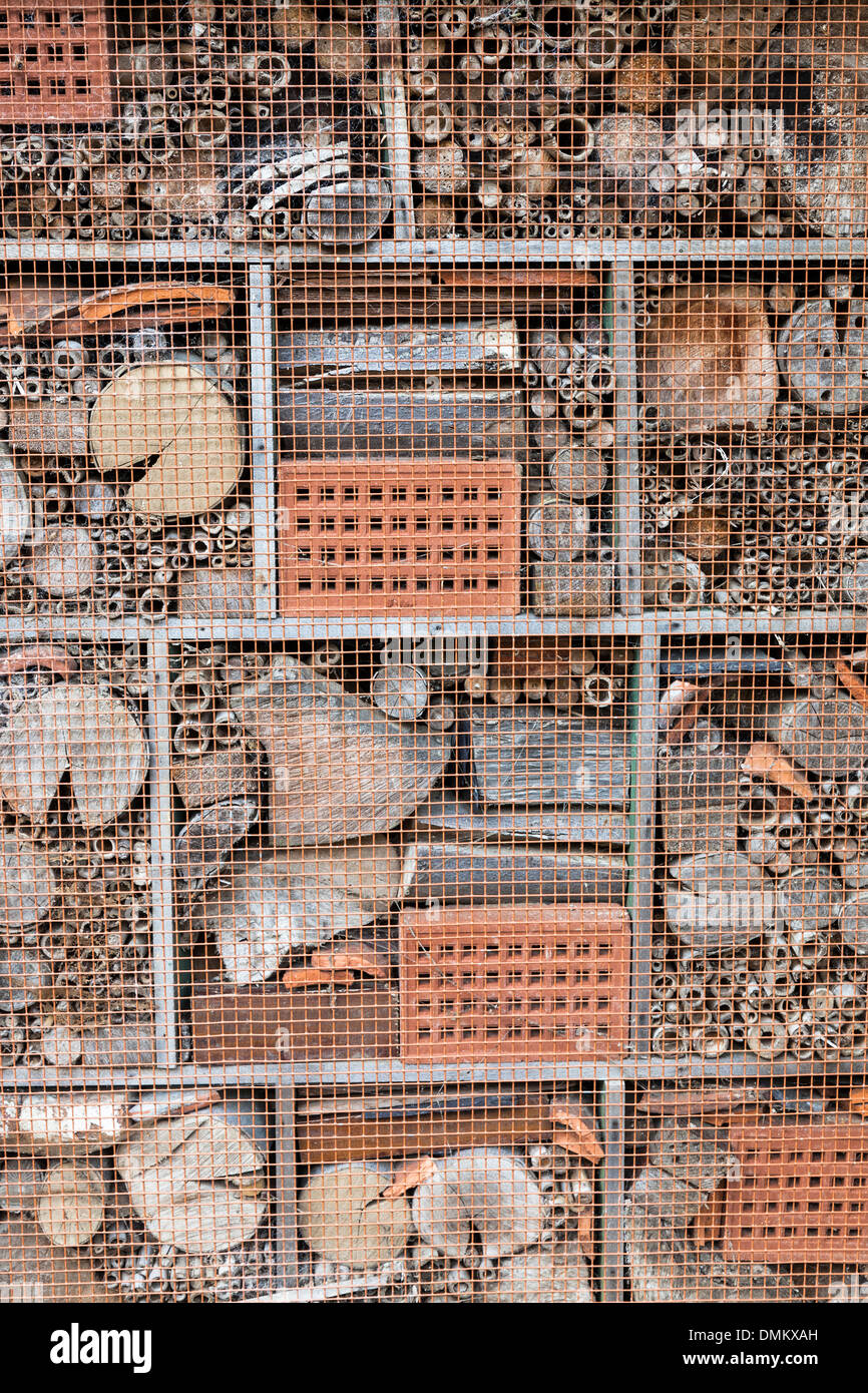 Habitat des insectes Banque de photographies et d’images à haute