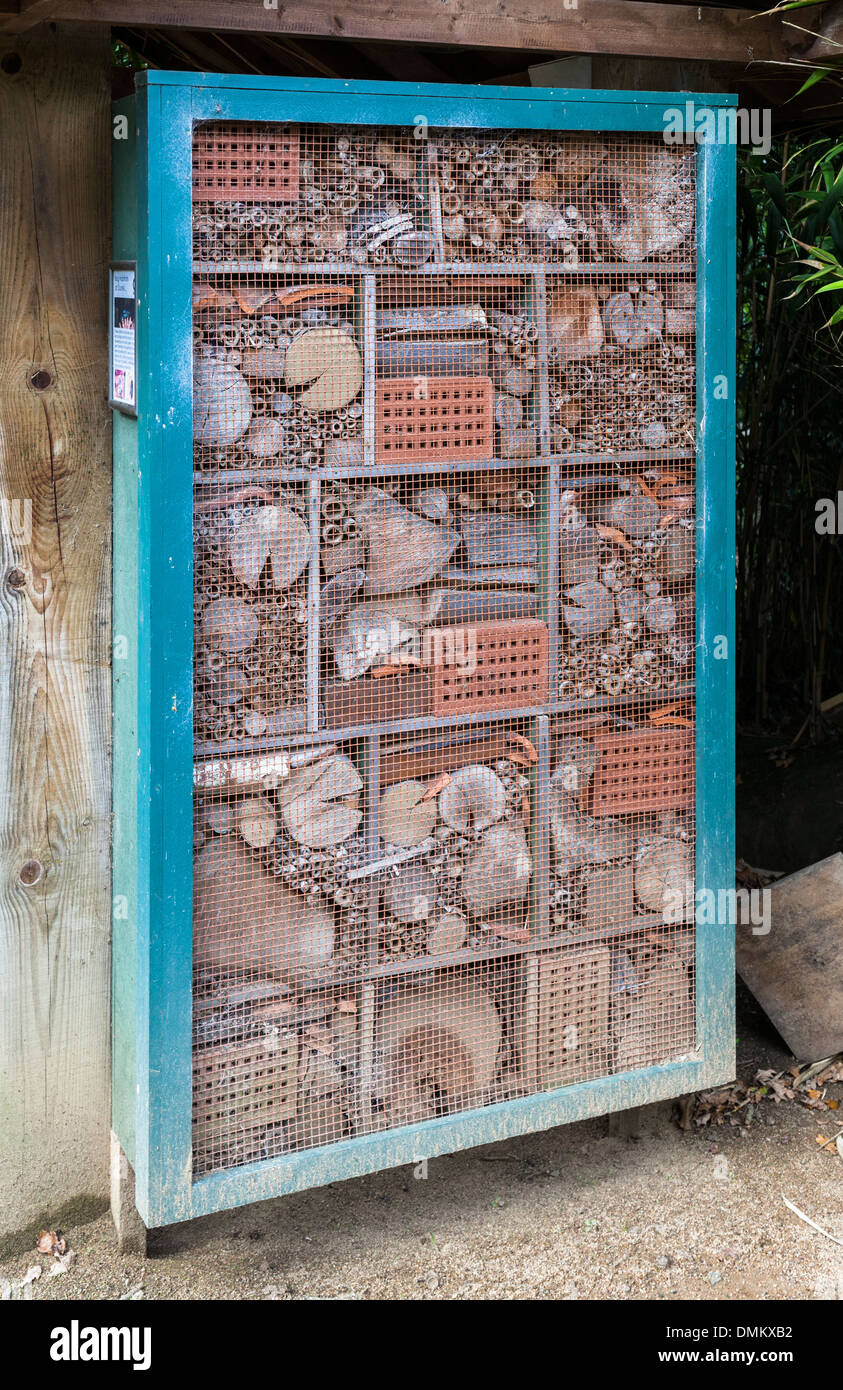L'habitat des insectes, Durrell Wildlife Park, Jersey, Channel Islands, Royaume-Uni Banque D'Images