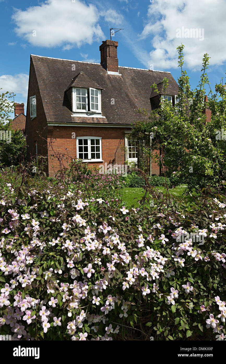 Clematis croissant sur cottage garden fence, Raglan, Pays de Galles, Royaume-Uni Banque D'Images