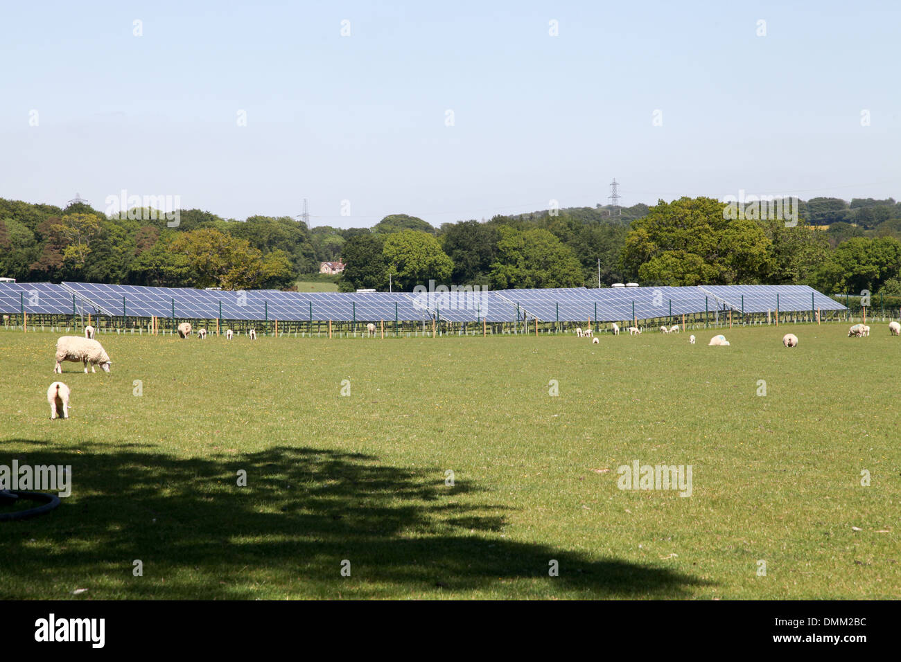 Panneaux solaires Banque D'Images