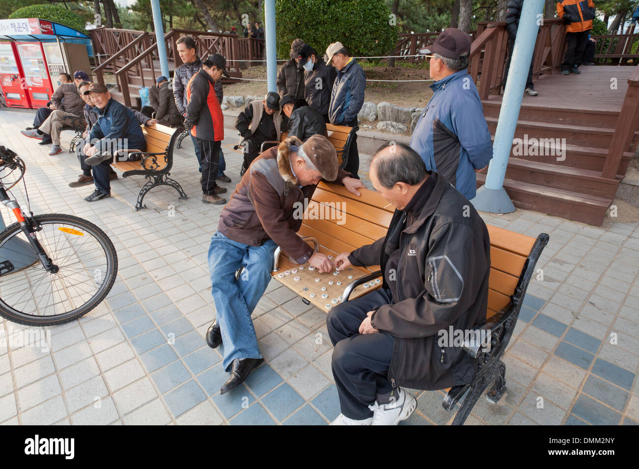 Les aînés jouent Janggi (coréen) d'échecs en plein air sur le banc de parc - Busan, Corée du Sud Banque D'Images