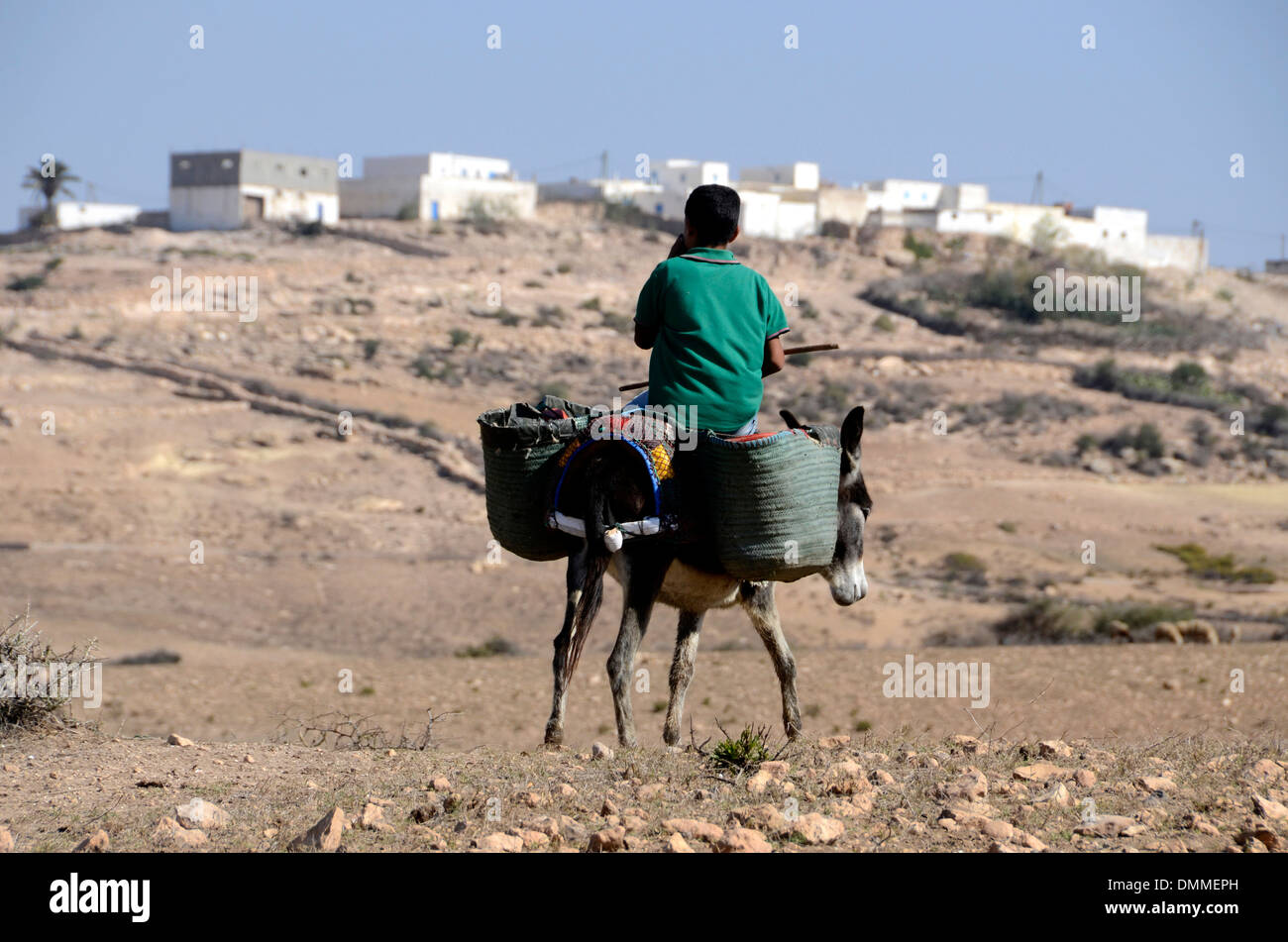 D'un âne garçon berbère une petite vallée à proximité d'un village berbère, sur la côte au sud d'essaouira maroc Banque D'Images