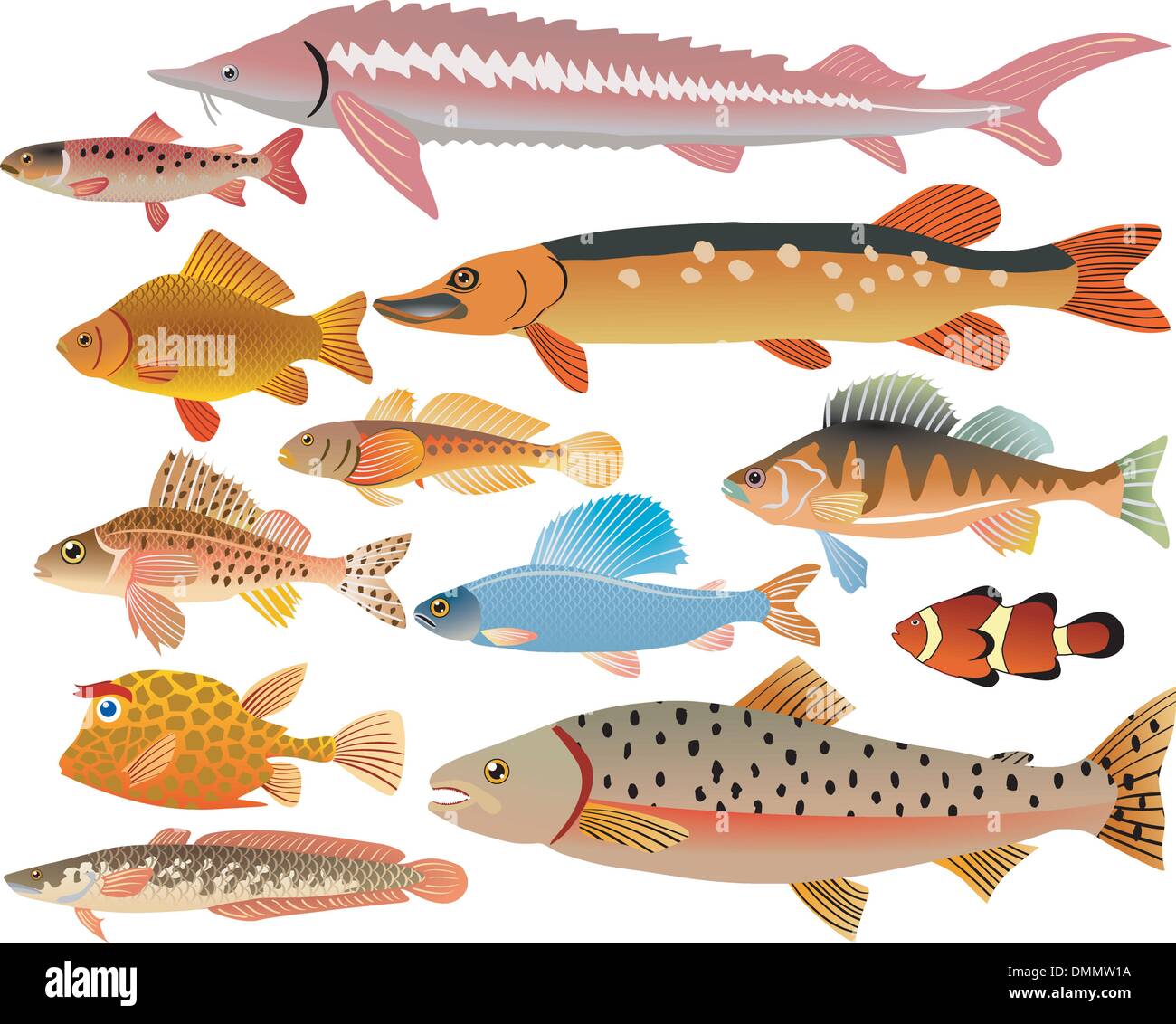 Ensemble de la mer et poissons de la rivière Illustration de Vecteur