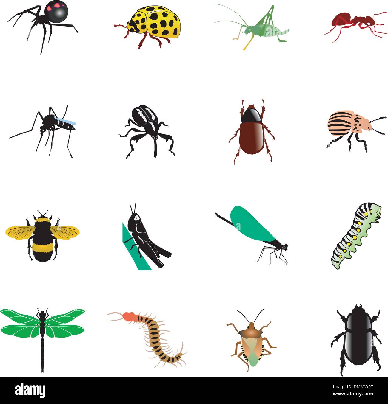L'ensemble de différentes sortes d'insectes et d'araignées Illustration de Vecteur