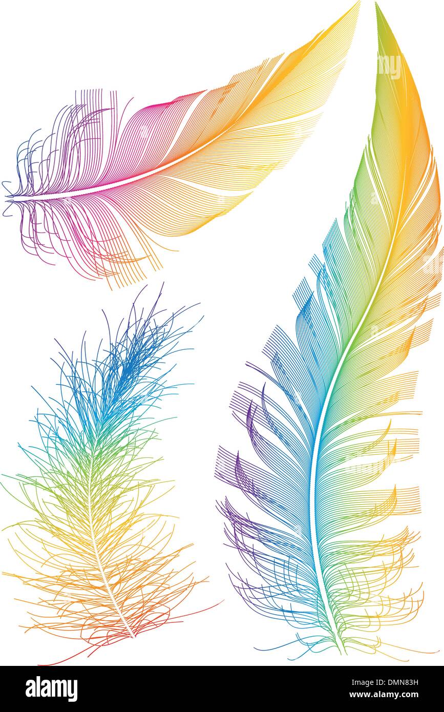 Vecteur coloré feather Illustration de Vecteur