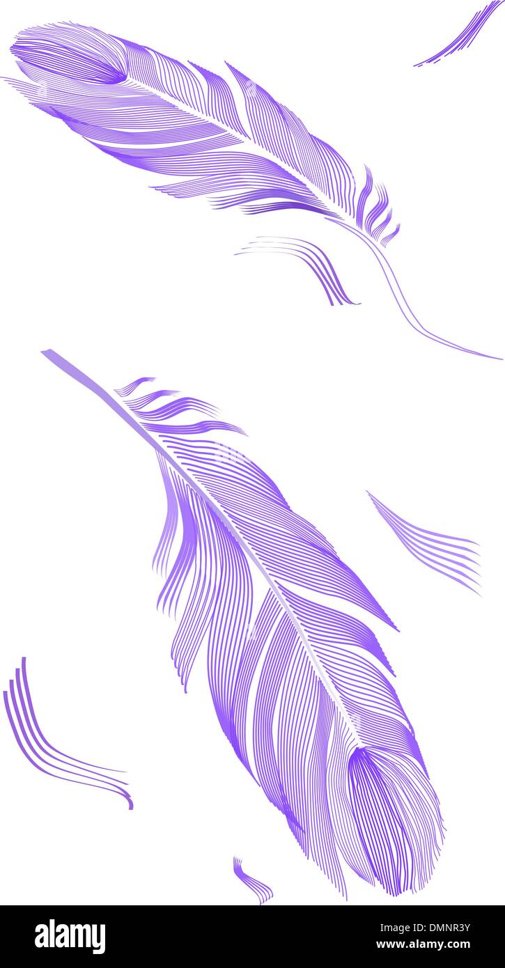 Plume d'oiseau de dessin Illustration de Vecteur