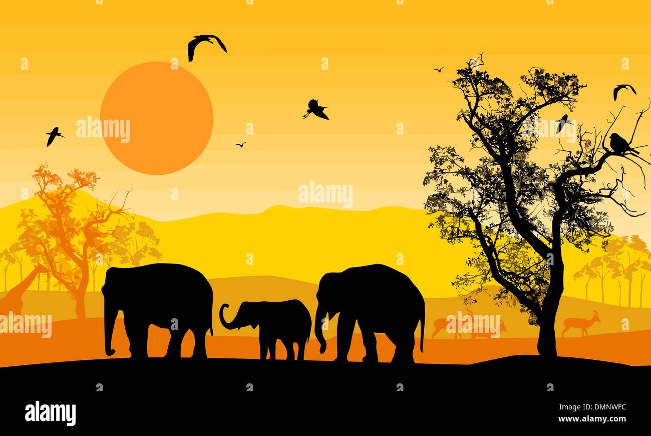 La faune africaine au coucher du soleil Illustration de Vecteur