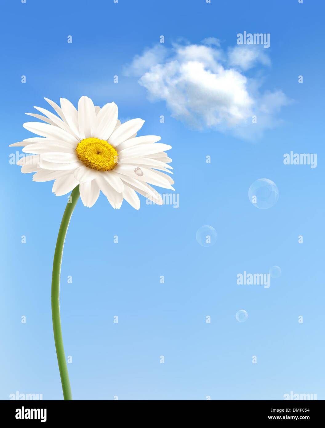 Belle marguerite blanche devant le ciel bleu. Vecteur. Illustration de Vecteur