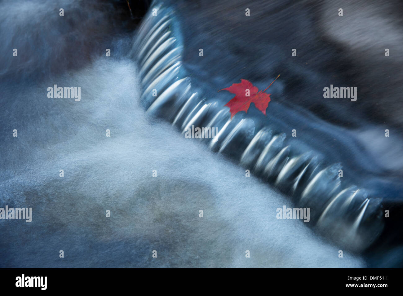 Chute d'eau d'automne avec la feuille rouge Banque D'Images