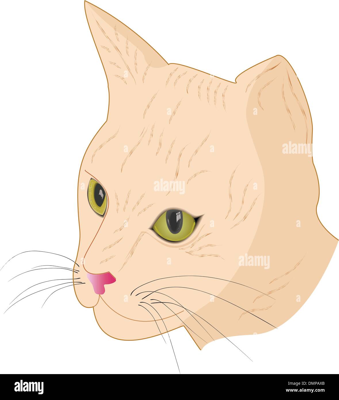 Museau de chat couleur fauve Illustration de Vecteur