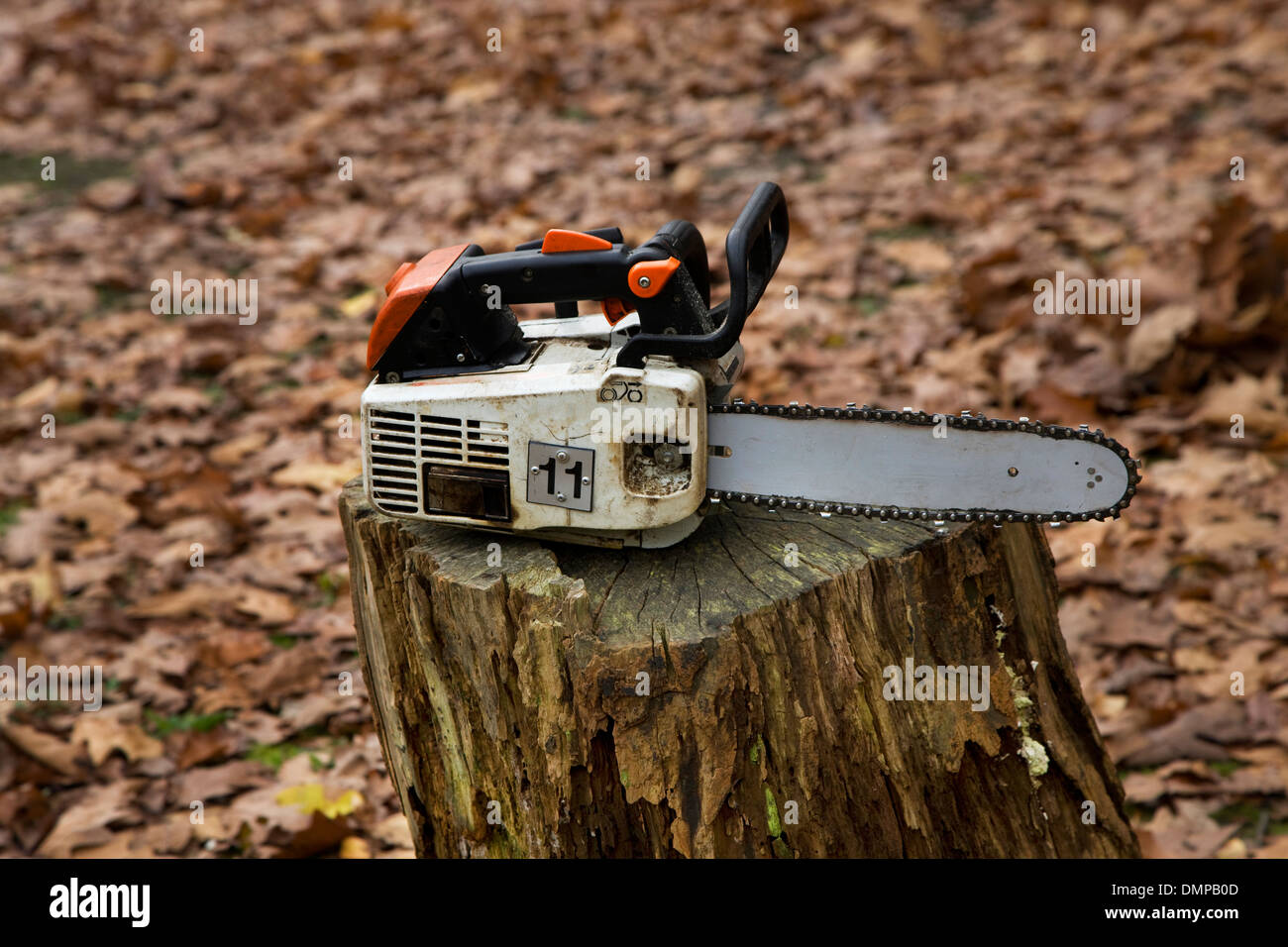 Abattre des arbres dans la forêt déforestation arbres cassés | Photo