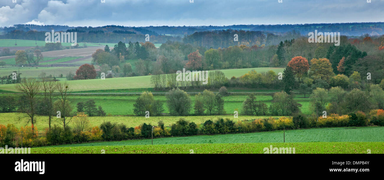 Paysage rural de l'Ardenne belge montrant les champs, les prés, les haies et les forêts en automne, Belgique Banque D'Images