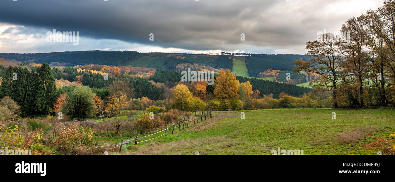 Paysage rural de l'Ardenne belge montrant les champs et forêts en couleurs de l'automne, Wallonie, Belgique Banque D'Images