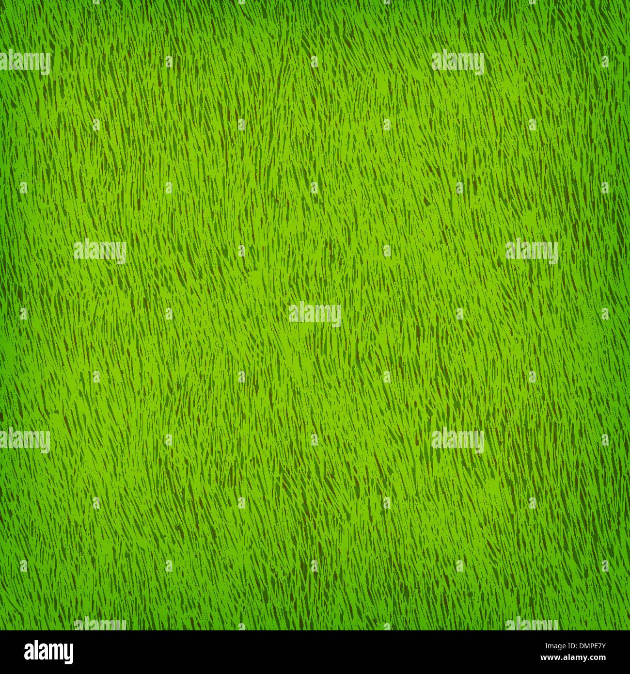 La texture de fond de l'herbe verte vecteur EPS 10. Illustration de Vecteur