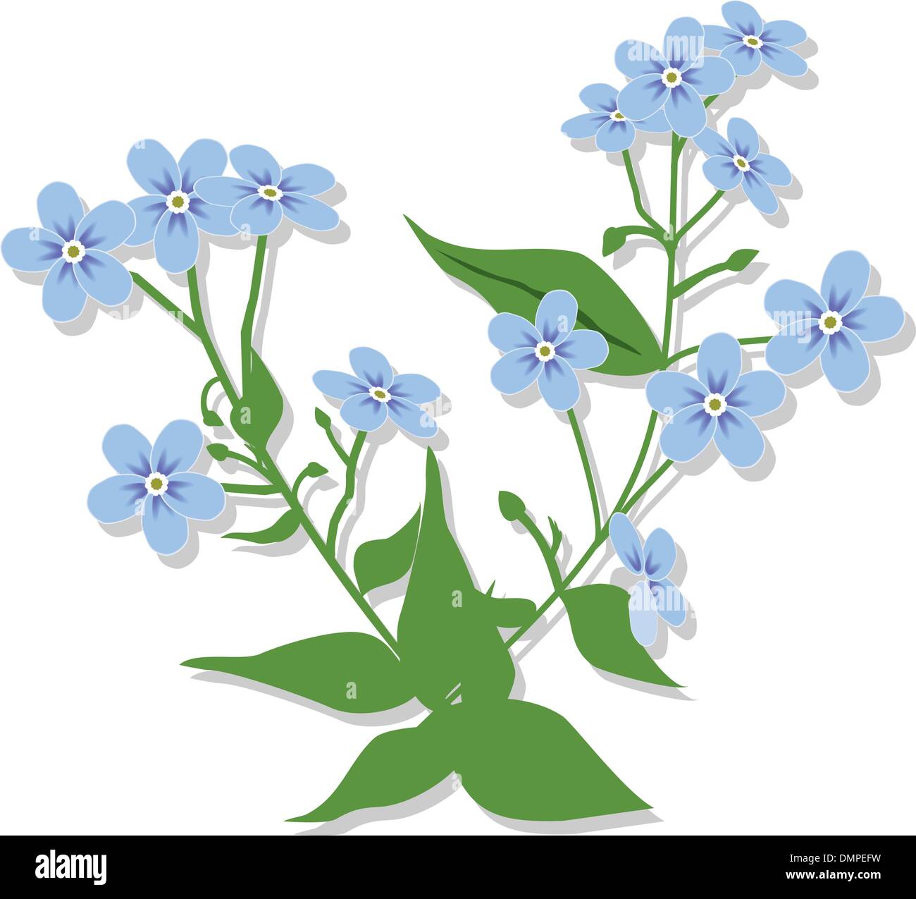 Bouquet d'forget-me-nots. Illustration de Vecteur