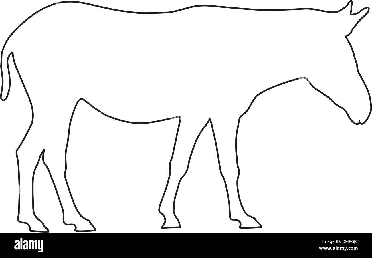 Zèbre isolé Banque de photographies et d’images à haute résolution