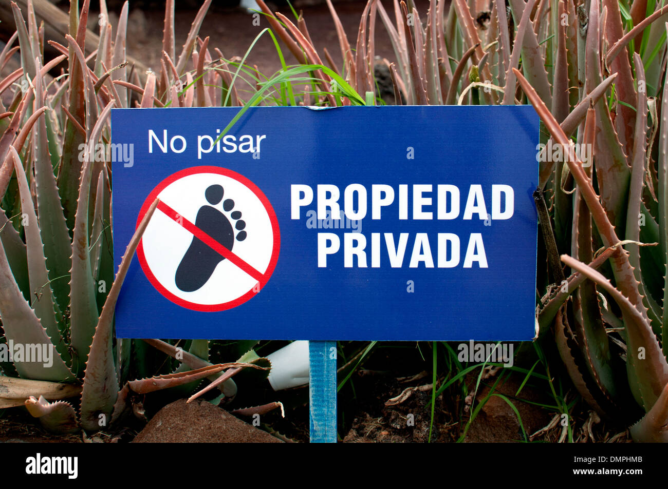 La propriété privée signe, Caleta de Fuste, Fuerteventura, Îles Canaries. Banque D'Images