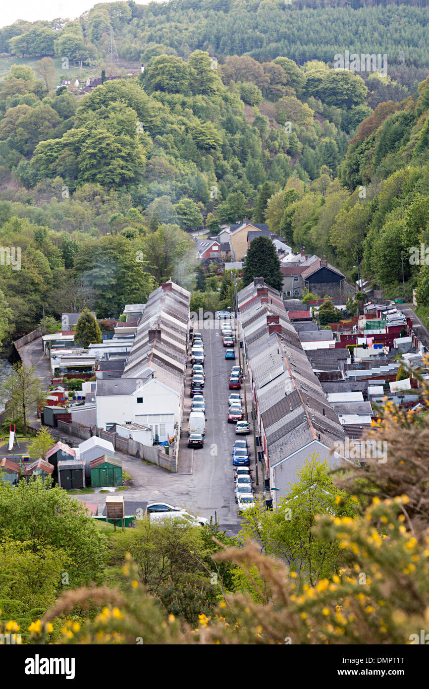 Maisons dans la vallée bordée d'arbres, Aberbeeg, Pays de Galles, Royaume-Uni Banque D'Images