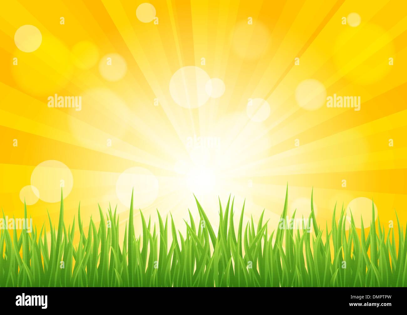 Vecteur lumineux effet soleil avec green grass field Illustration de Vecteur