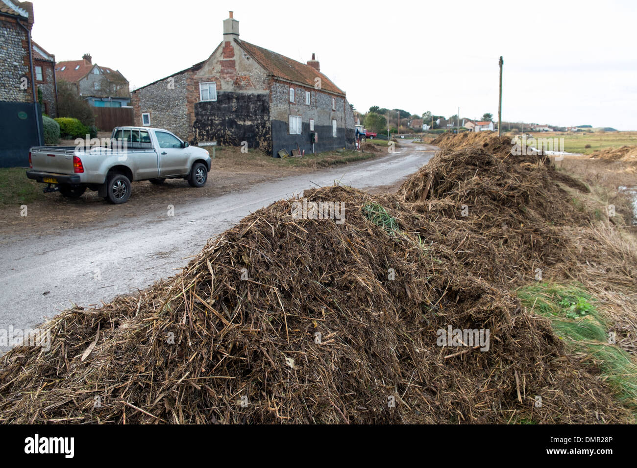 Débris de marée à côté de la route côtière à Salthouse, décembre 2013. Banque D'Images