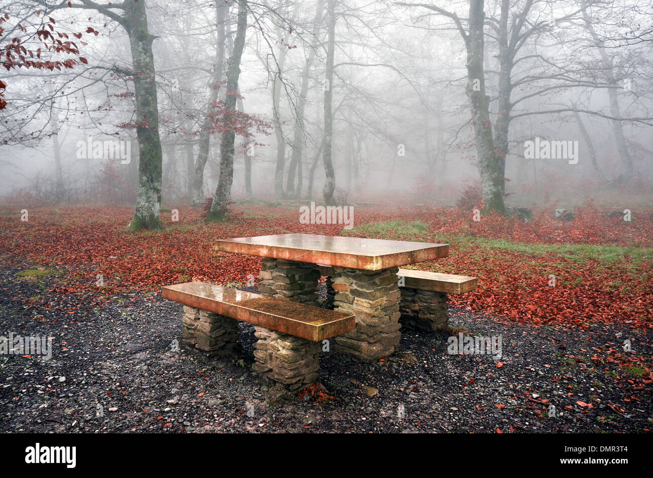 Table de pique-nique dans une forêt brumeuse sur l'automne Banque D'Images