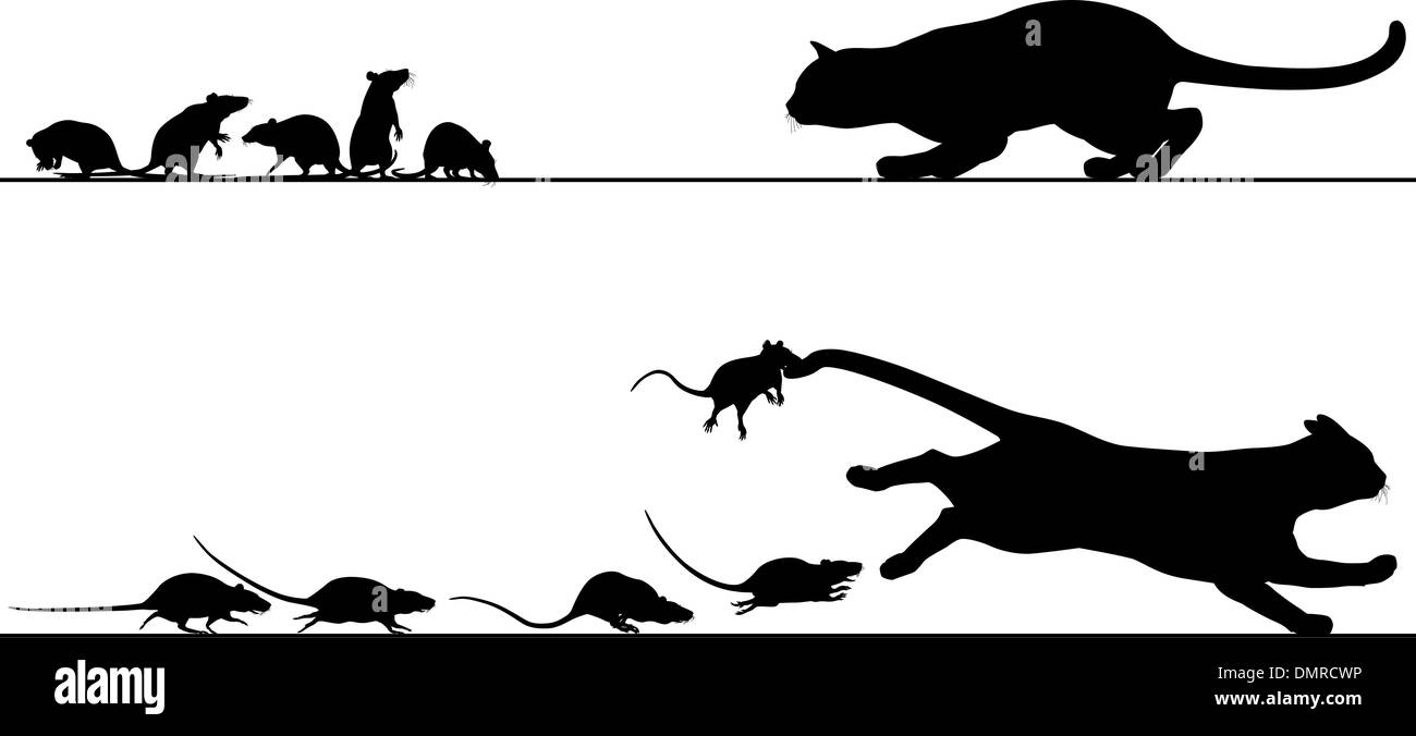 Chassant les rats cat Illustration de Vecteur