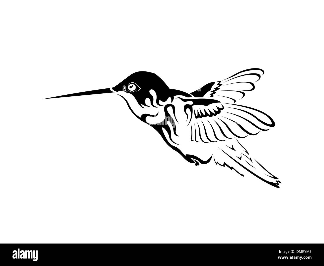 Colibri Tatouage Noir Et Blanc Colibri noir et blanc tatouage Image Vectorielle Stock - Alamy