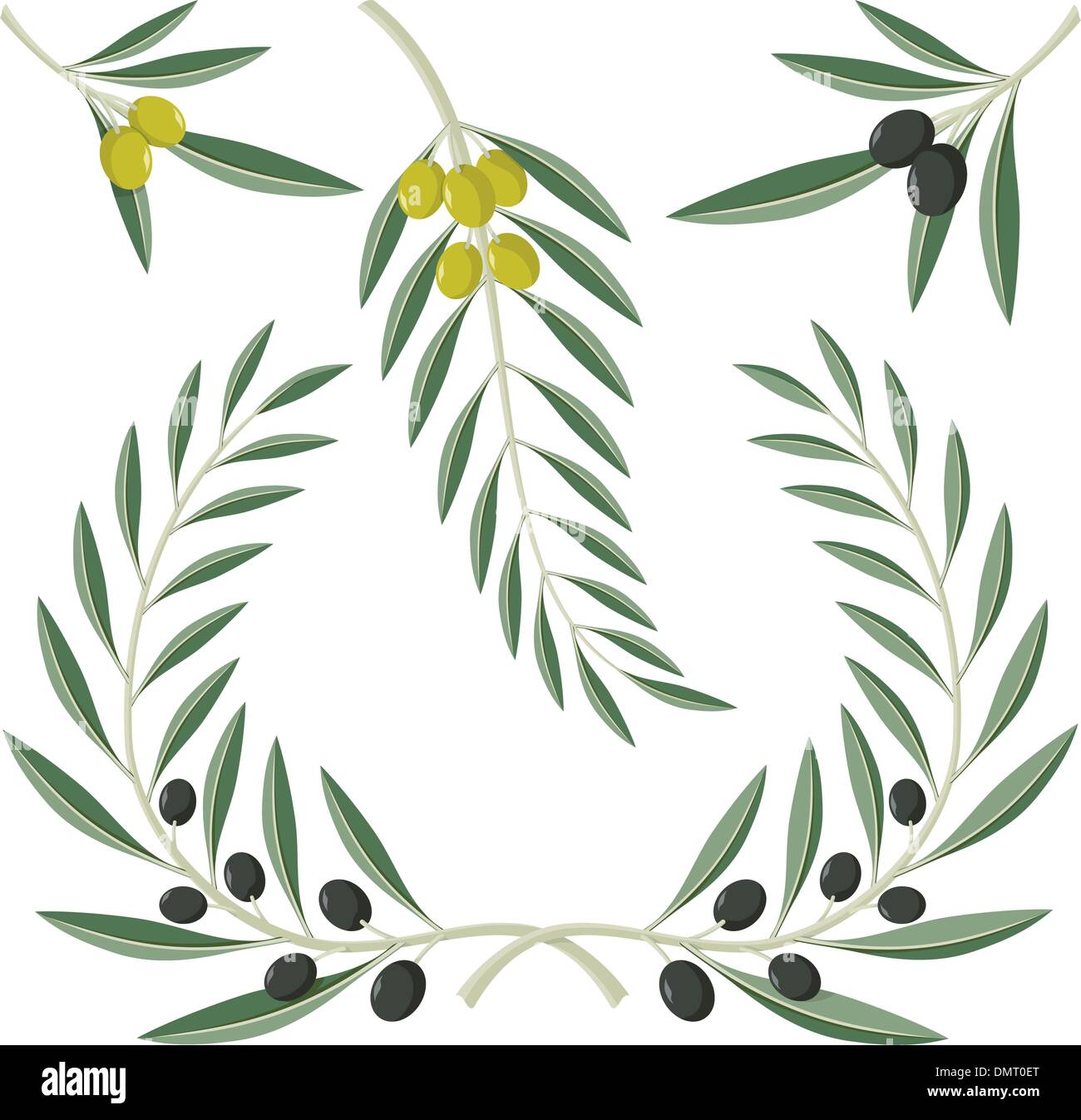La Feuille D olivier Banque D images Vectorielles Alamy la-feuille-d-olivier-banque-d-images-vectorielles-alamy