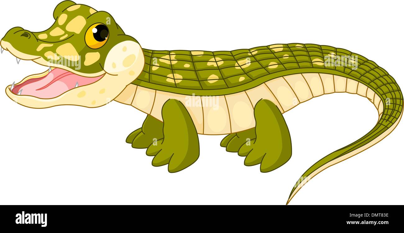 Crocodile De Bebe Image Vectorielle Stock Alamy Crocodile De Bebe Image Vectorielle Stock Alamy