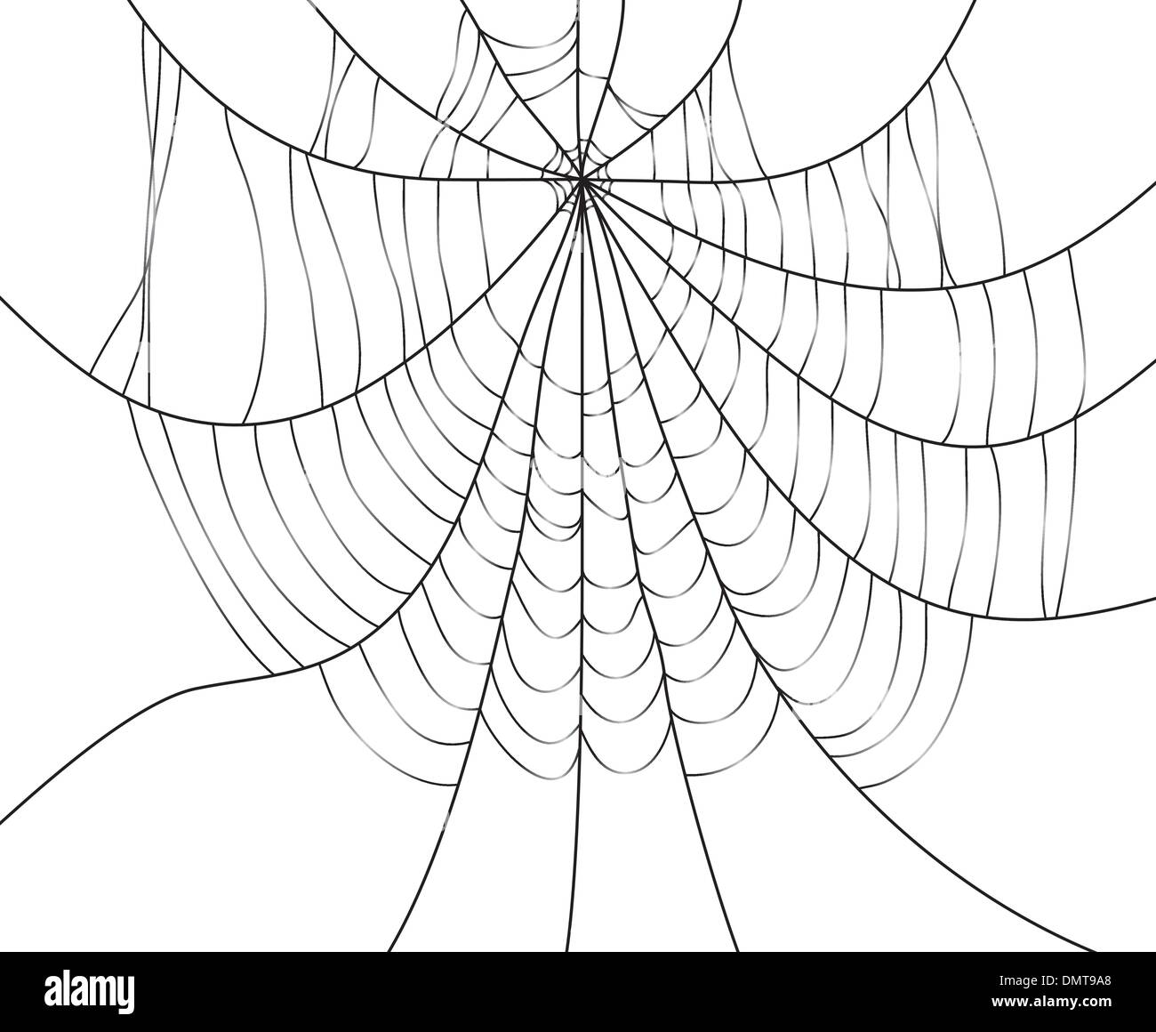 Spider web Illustration de Vecteur