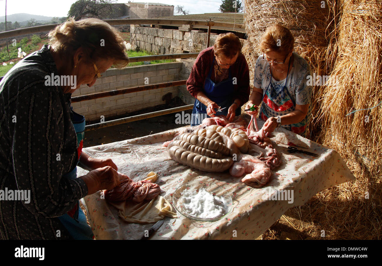 Au cours d'un processus différent de l'Abattage des porcins locaux traditionnels dans l'île de Majorque, Espagne Banque D'Images