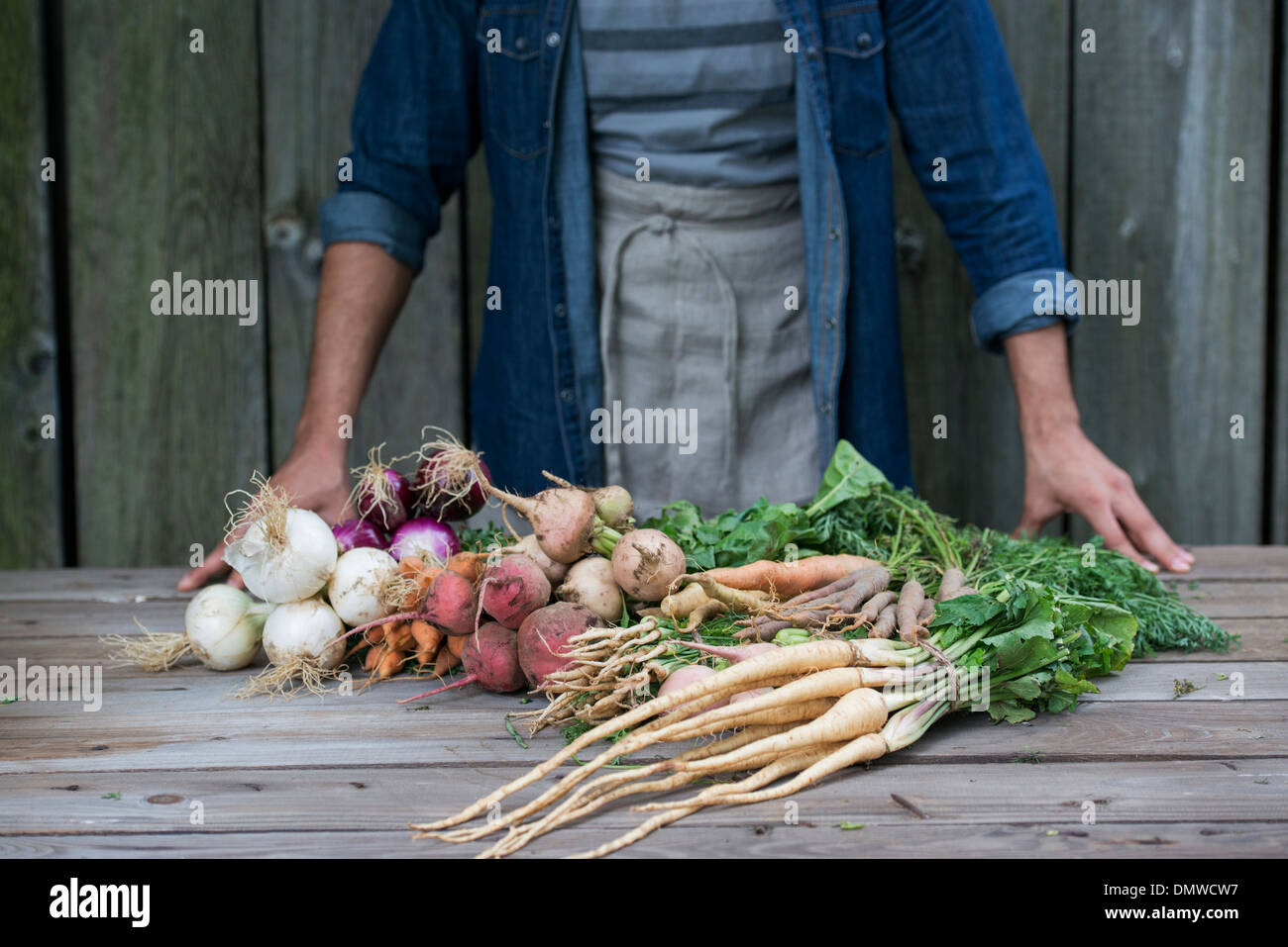 Un homme le tri des légumes fraîchement cueillis sur une table. Banque D'Images