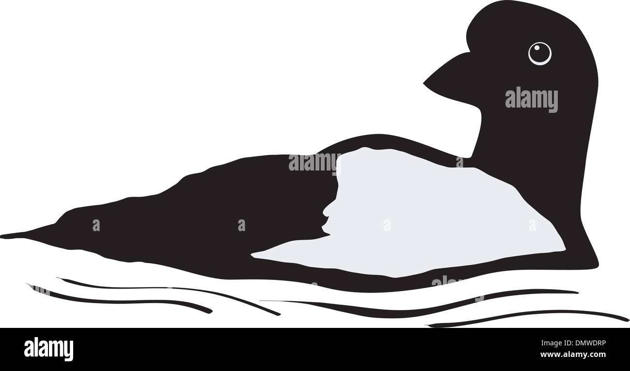 Oiseau de huard Banque d'images vectorielles - Alamy