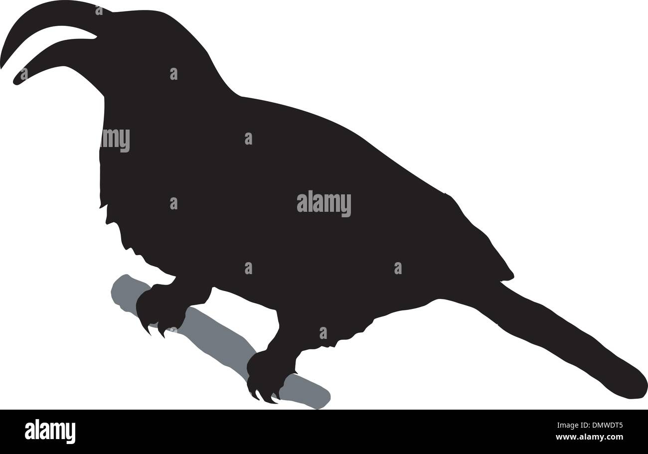 oiseau de Rhino Illustration de Vecteur