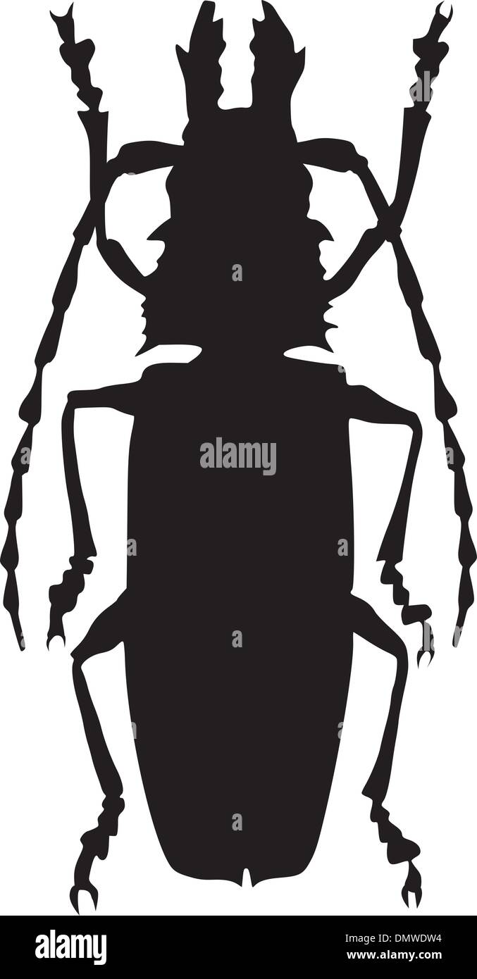 Illustration de scarabée géant Illustration de Vecteur