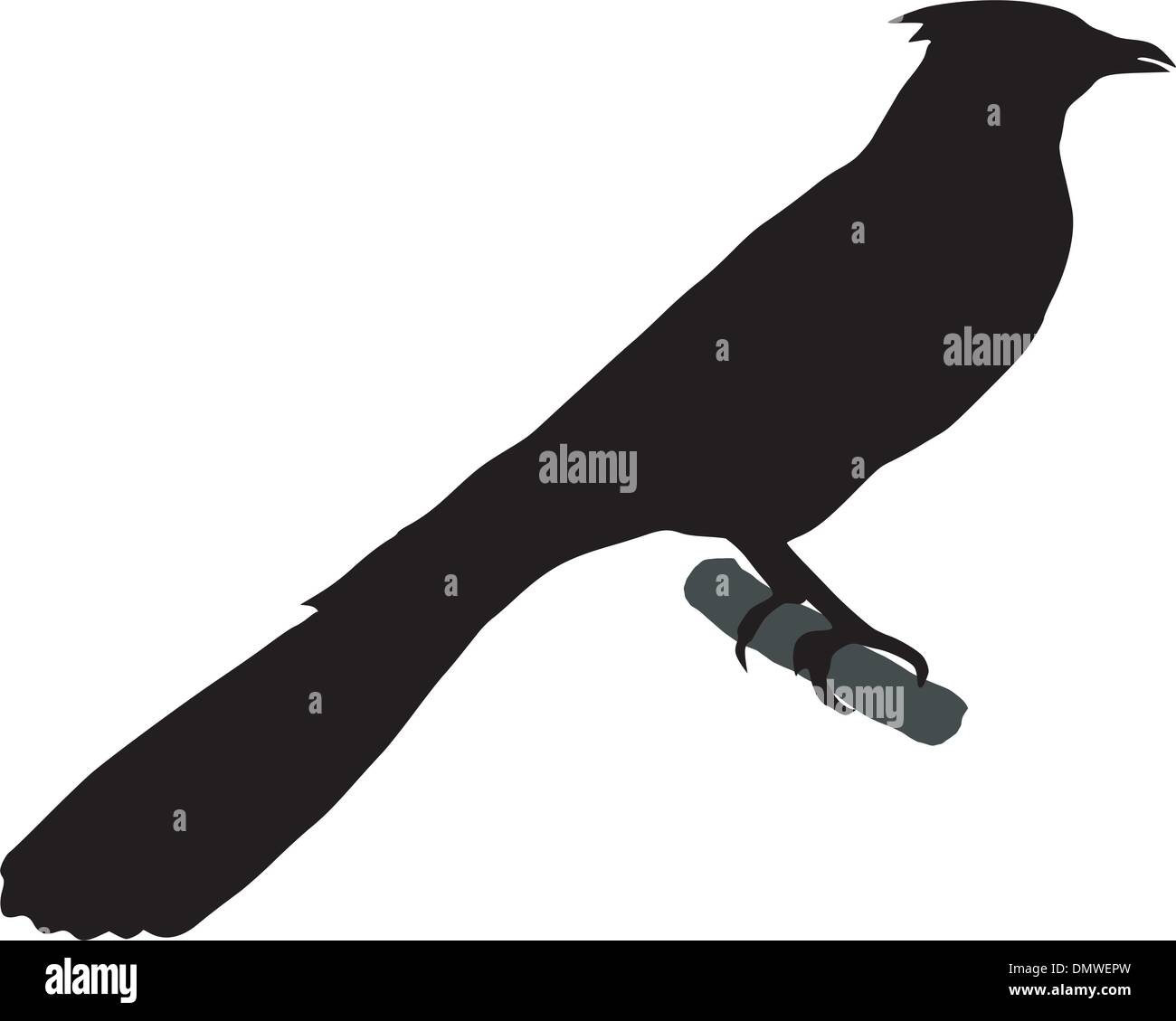 Silhouette de cuckoo Illustration de Vecteur