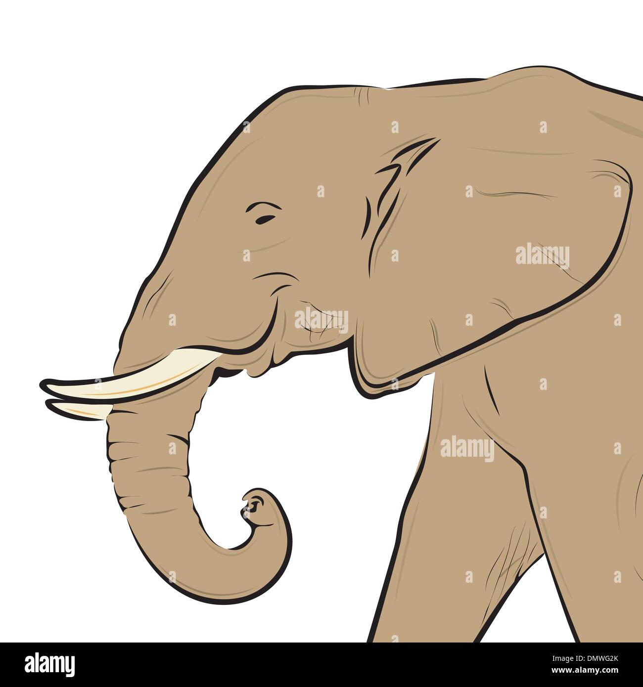 Dessin elephant head isolated on white Illustration de Vecteur