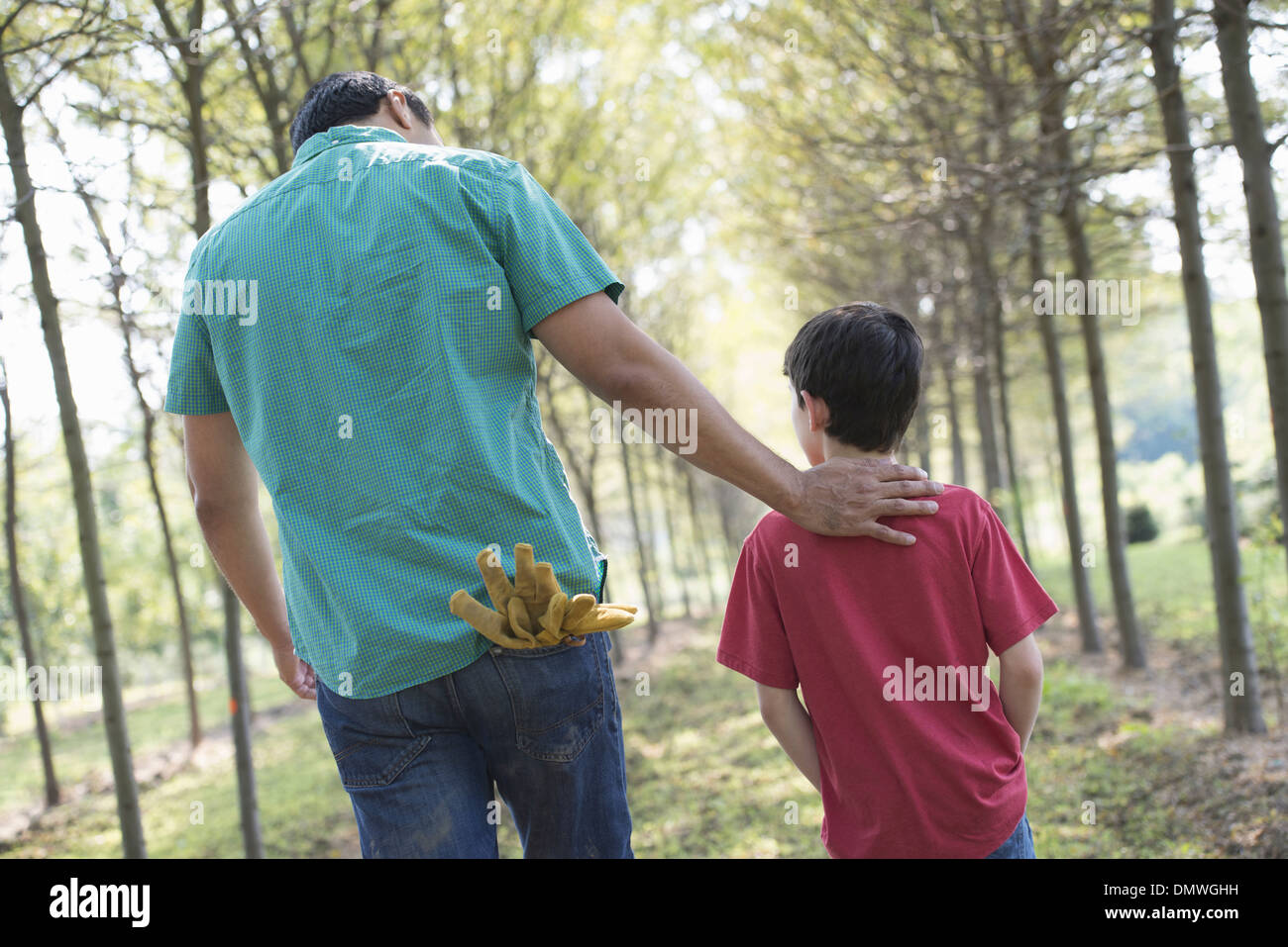 Un homme et un jeune garçon marchant dans une allée d'arbres. Banque D'Images