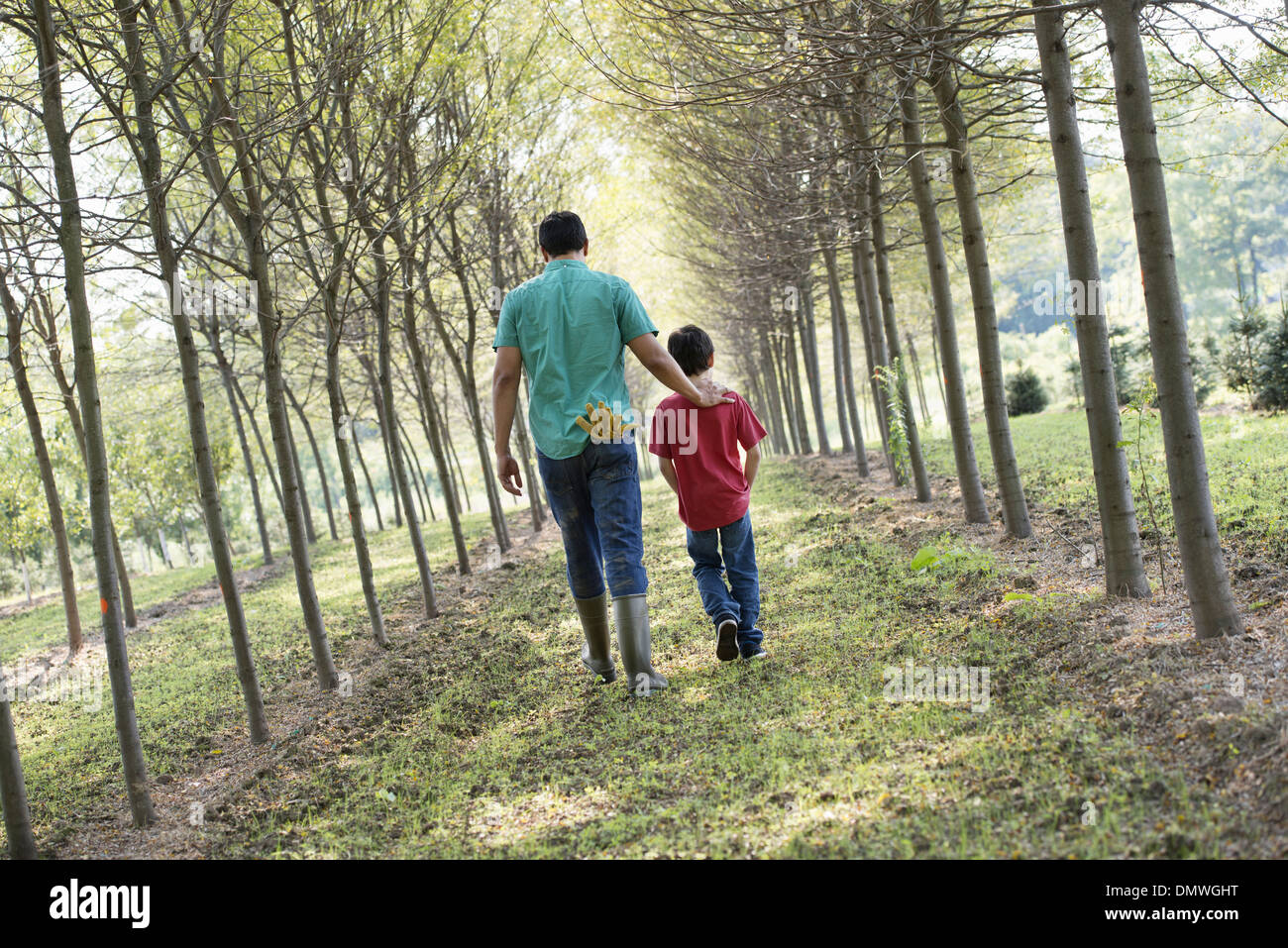 Un homme et un jeune garçon marchant dans une allée d'arbres. Banque D'Images